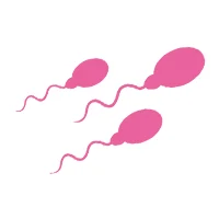 IMSI IVF