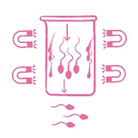 Magnetic Activated Cell Sorting