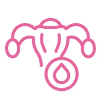 Luteal Phase